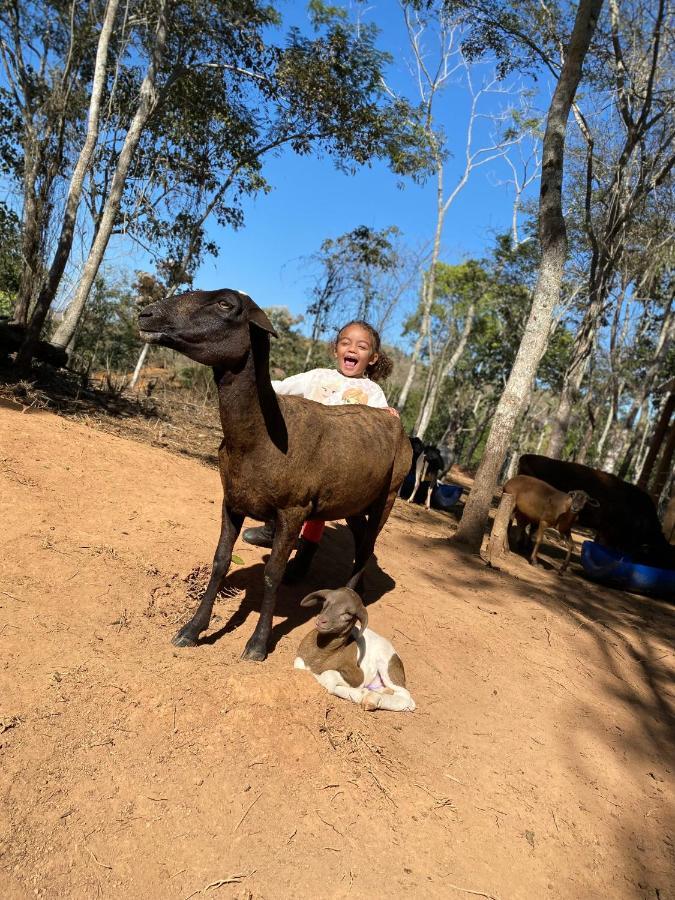 Simão Pereira Hotel Fazenda Minas Real מראה חיצוני תמונה